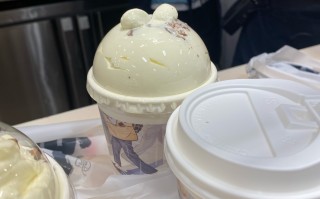 曦月棕是什么意思，曦月是什么意思？